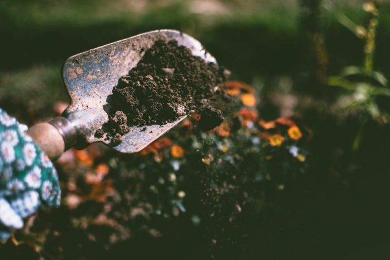 Beroemdheden Inspiratie voor tuinverbouwing met moderne inrichting en nieuwe tuinmeubels voor je verbouwde tuin